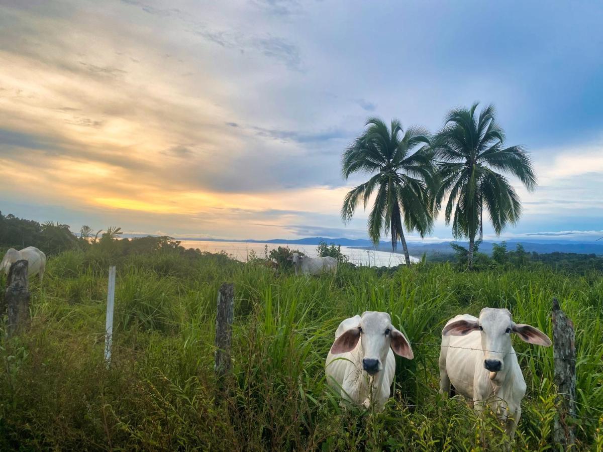 Brahman Bungalows On Pavones Point Экстерьер фото