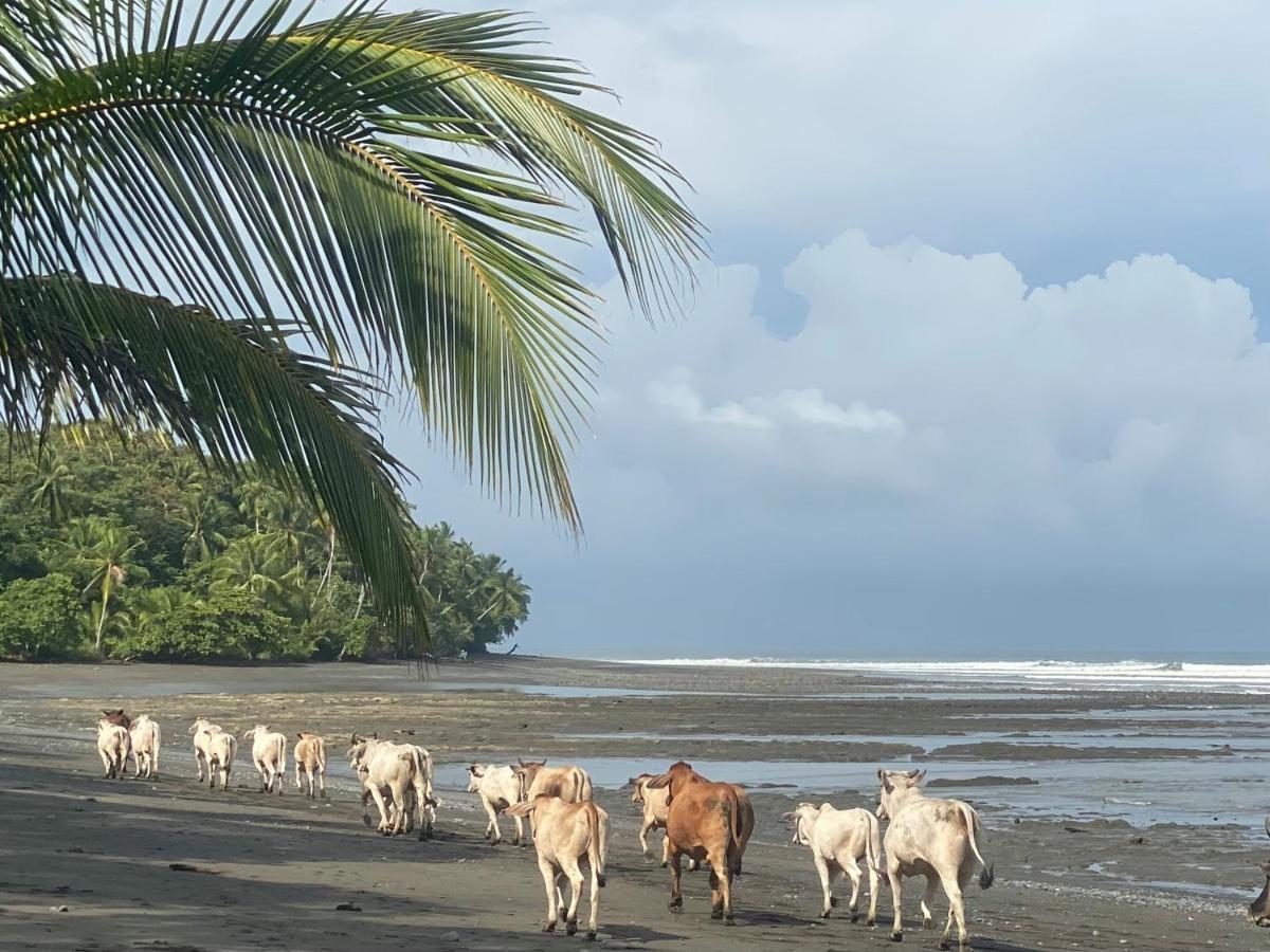 Brahman Bungalows On Pavones Point Экстерьер фото