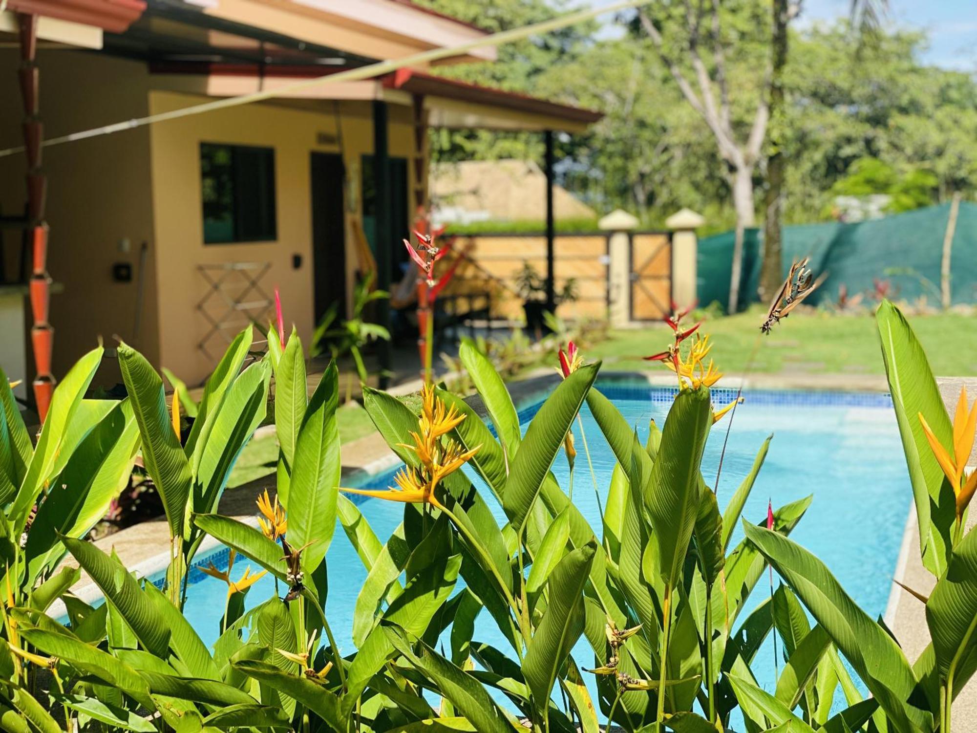 Brahman Bungalows On Pavones Point Номер фото